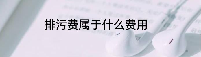 排污费属于什么费用
