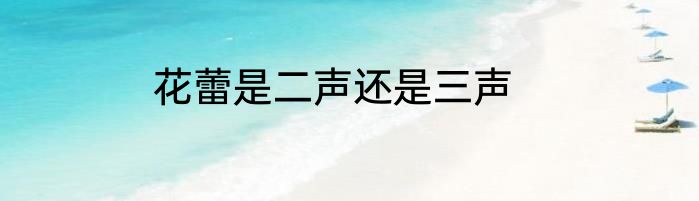 花蕾是二声还是三声