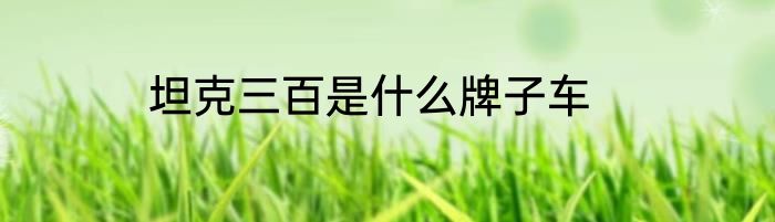 坦克三百是什么牌子车