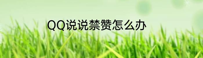 QQ说说禁赞怎么办