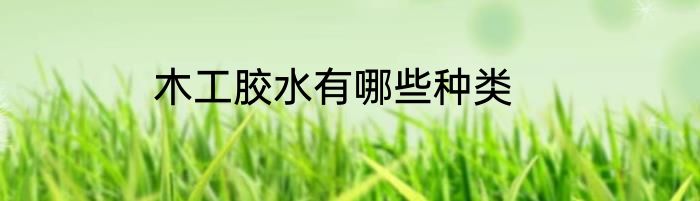 木工胶水有哪些种类
