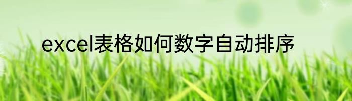 excel表格如何数字自动排序