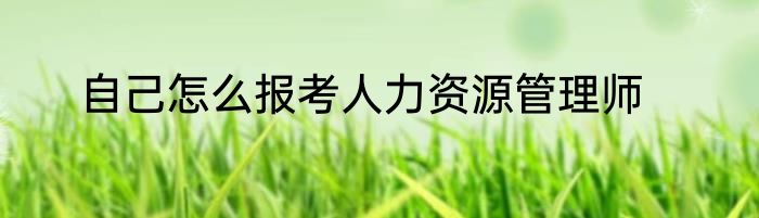自己怎么报考人力资源管理师