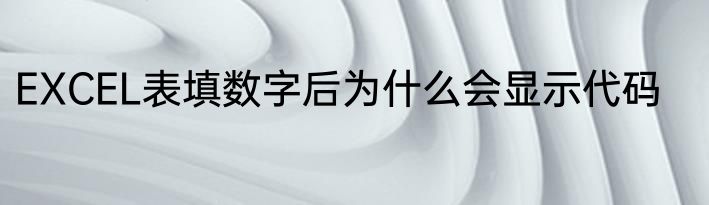 EXCEL表填数字后为什么会显示代码