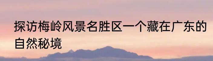 探访梅岭风景名胜区一个藏在广东的自然秘境