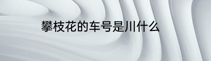 攀枝花的车号是川什么