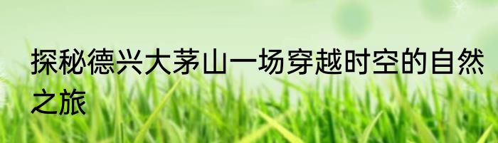探秘德兴大茅山一场穿越时空的自然之旅