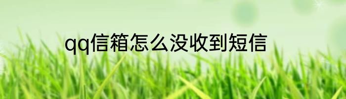 qq信箱怎么没收到短信