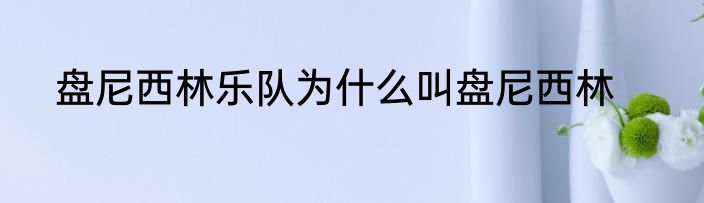 盘尼西林乐队为什么叫盘尼西林