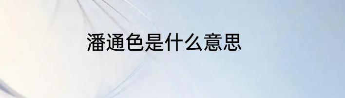 潘通色是什么意思