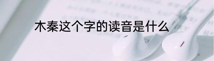 木秦这个字的读音是什么