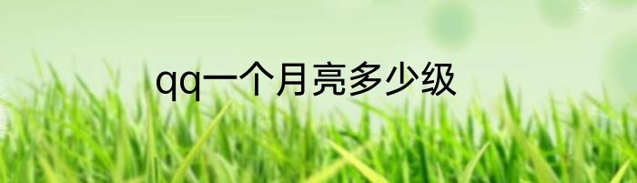 qq一个月亮多少级