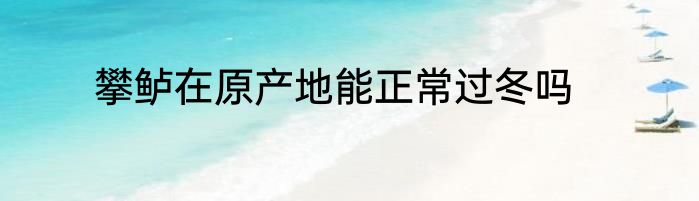 攀鲈在原产地能正常过冬吗