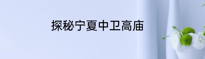 探秘宁夏中卫高庙
