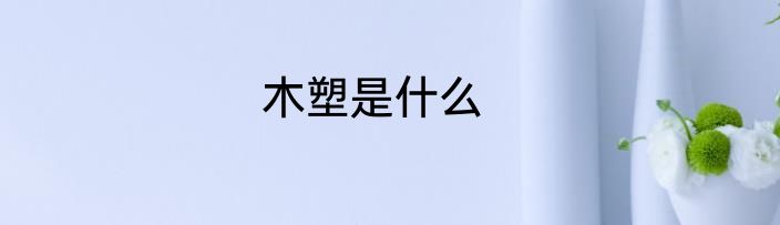 木塑是什么