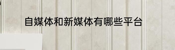 自媒体和新媒体有哪些平台