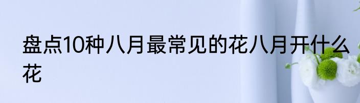 盘点10种八月最常见的花八月开什么花
