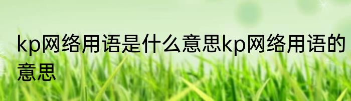 kp网络用语是什么意思kp网络用语的意思