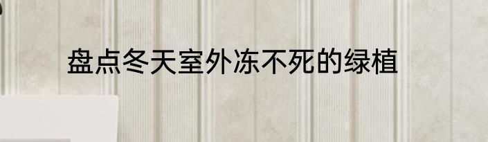 盘点冬天室外冻不死的绿植