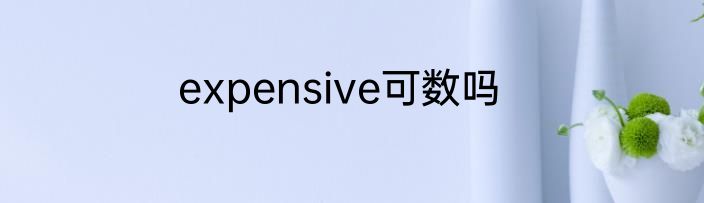 expensive可数吗