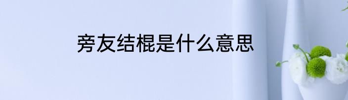 旁友结棍是什么意思