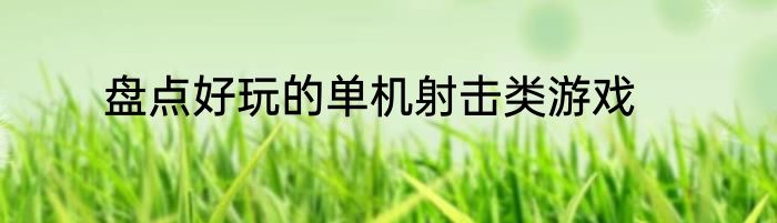盘点好玩的单机射击类游戏