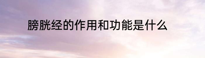 膀胱经的作用和功能是什么