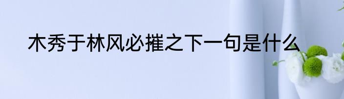 木秀于林风必摧之下一句是什么