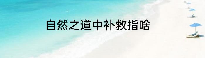 自然之道中补救指啥