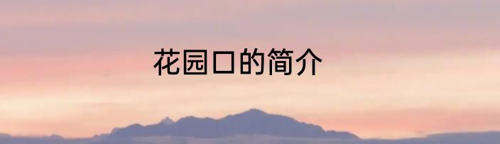 花园口的简介