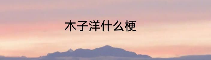 木子洋什么梗