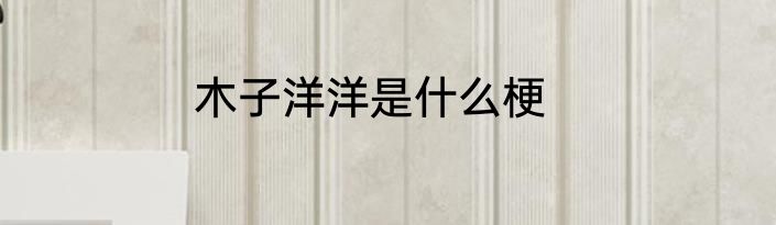 木子洋洋是什么梗