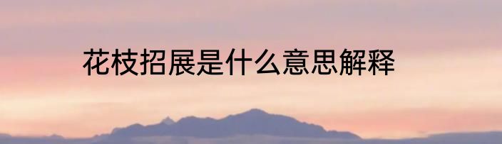 花枝招展是什么意思解释