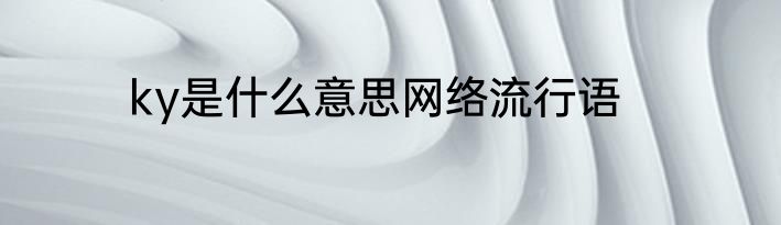ky是什么意思网络流行语