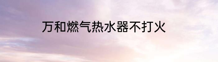万和燃气热水器不打火