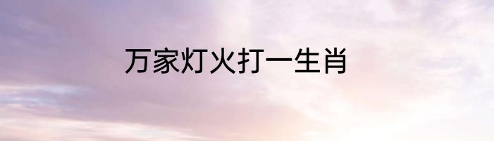 万家灯火打一生肖
