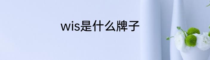 wis是什么牌子