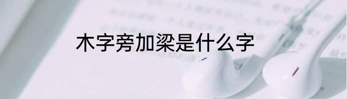木字旁加梁是什么字