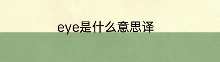 eye是什么意思译