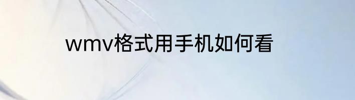 wmv格式用手机如何看