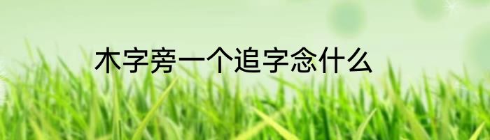 木字旁一个追字念什么