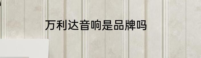 万利达音响是品牌吗
