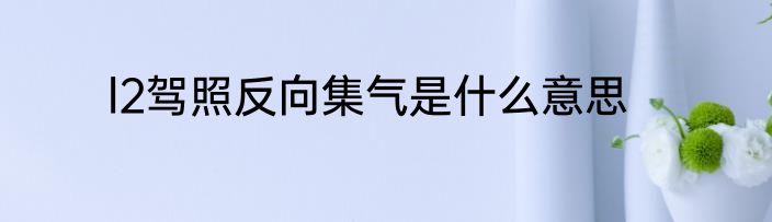 l2驾照反向集气是什么意思