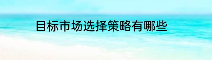 目标市场选择策略有哪些