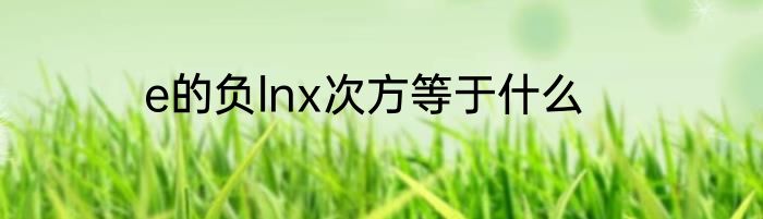e的负lnx次方等于什么