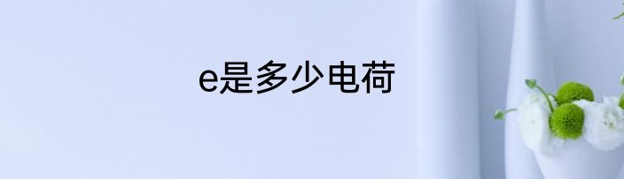 e是多少电荷