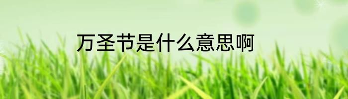万圣节是什么意思啊