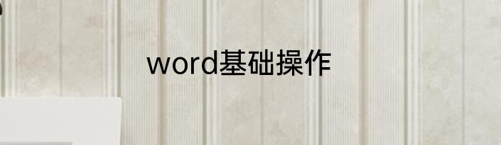word基础操作