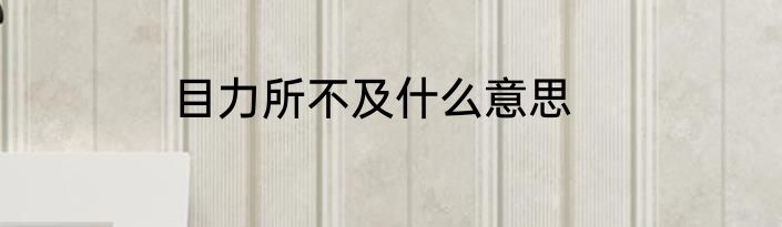 目力所不及什么意思