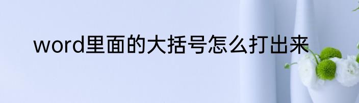 word里面的大括号怎么打出来